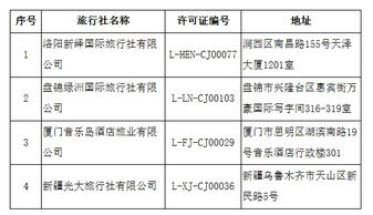 文旅部強化出境游市場監管，16家旅行社業務資格被取消
